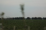 2024-08-05_16-08-58_D6C222D4-8C52-4B7C-9F02-6B945CEC3030.jpeg
