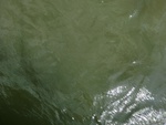 58079CIMG2373.JPG