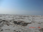 32119CIMG1447.JPG