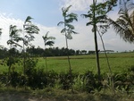 31269CIMG1131.JPG