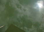 58249CIMG2696.JPG