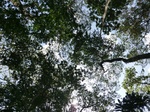 46485CIMG0774.JPG