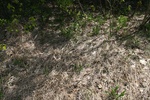 292IMG_4188.JPG