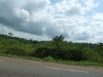 20323P1020180.JPG