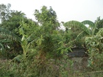 21903DSC08500.JPG