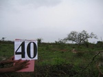 1048940-cropland-chena-abandoned-a.gif