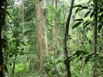 47240CIMG3577.JPG