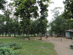 21971DSC00073.JPG