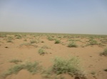 36623CIMG0392.JPG