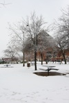 9448IMG_6481.JPG