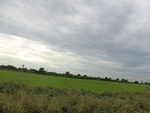 55965CIMG6697.JPG