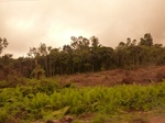 54847Berau (136).JPG