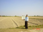 6538gt048-cropland-1.jpg