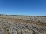 2012-08-28_20-34-45_P1010298.jpg