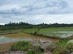 55112Berau (429).JPG