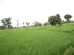 14561IMG_4927.JPG