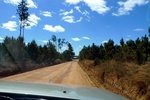 28412P1010423-1.JPG