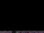 10769gt-096-wetland-seasonal-moist-valley-bottom-03.jpg