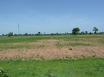 19497P1010344.JPG