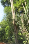 2024-10-10_17-27-54_F6423152-659C-4599-931D-CCACB0764EA3.jpeg
