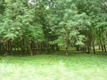 25842P1020261.JPG