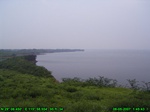 921R0015411_tag.jpg