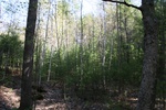187IMG_4083.JPG