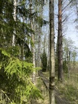 2025-05-21_10-09-13_IMG_7814.jpeg
