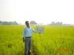 11355gt141-cropland-1.jpg
