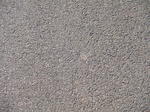 10094DSC02820.JPG