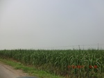 32935CIMG2080.JPG