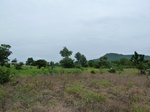 18450P1000286.JPG