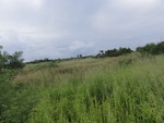 24859DSC01037.JPG