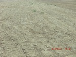 29797CIMG1170.JPG