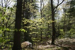 249IMG_4145.JPG