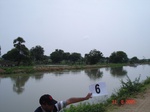 6012006c-irrigated-canal-nagarjunsagar-rice-dominant.jpg