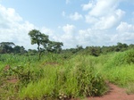 19826P1010676.JPG