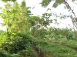 14160IMG_4497.JPG