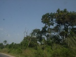 8983RIMG0058.JPG