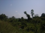 8969RIMG0044.JPG