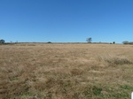 26149P1060834.JPG