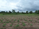 18281P1000117.JPG