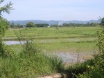 33575RIMG0240.JPG