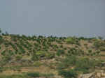 1785526042008(35).JPG