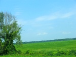 57603CIMG4192.JPG