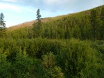 38183P1080109.JPG