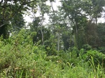 46930CIMG3267.JPG