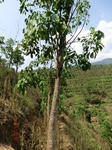 53253CIMG6492.JPG