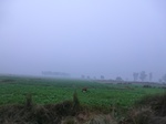 40224CIMG9234.JPG