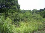 875R0015396_small.jpg